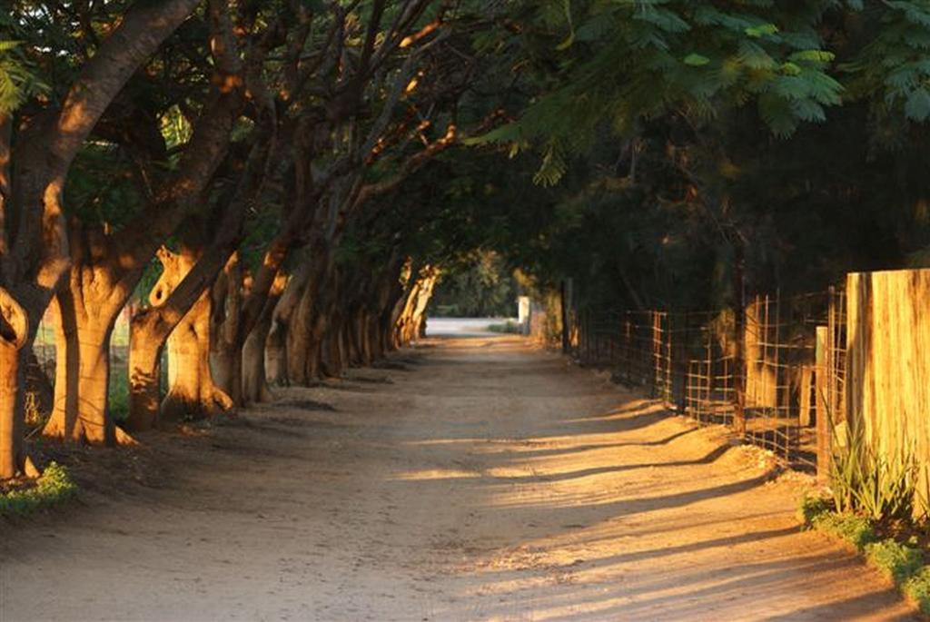 Blyde Mountain Country House Hoedspruit Bagian luar foto